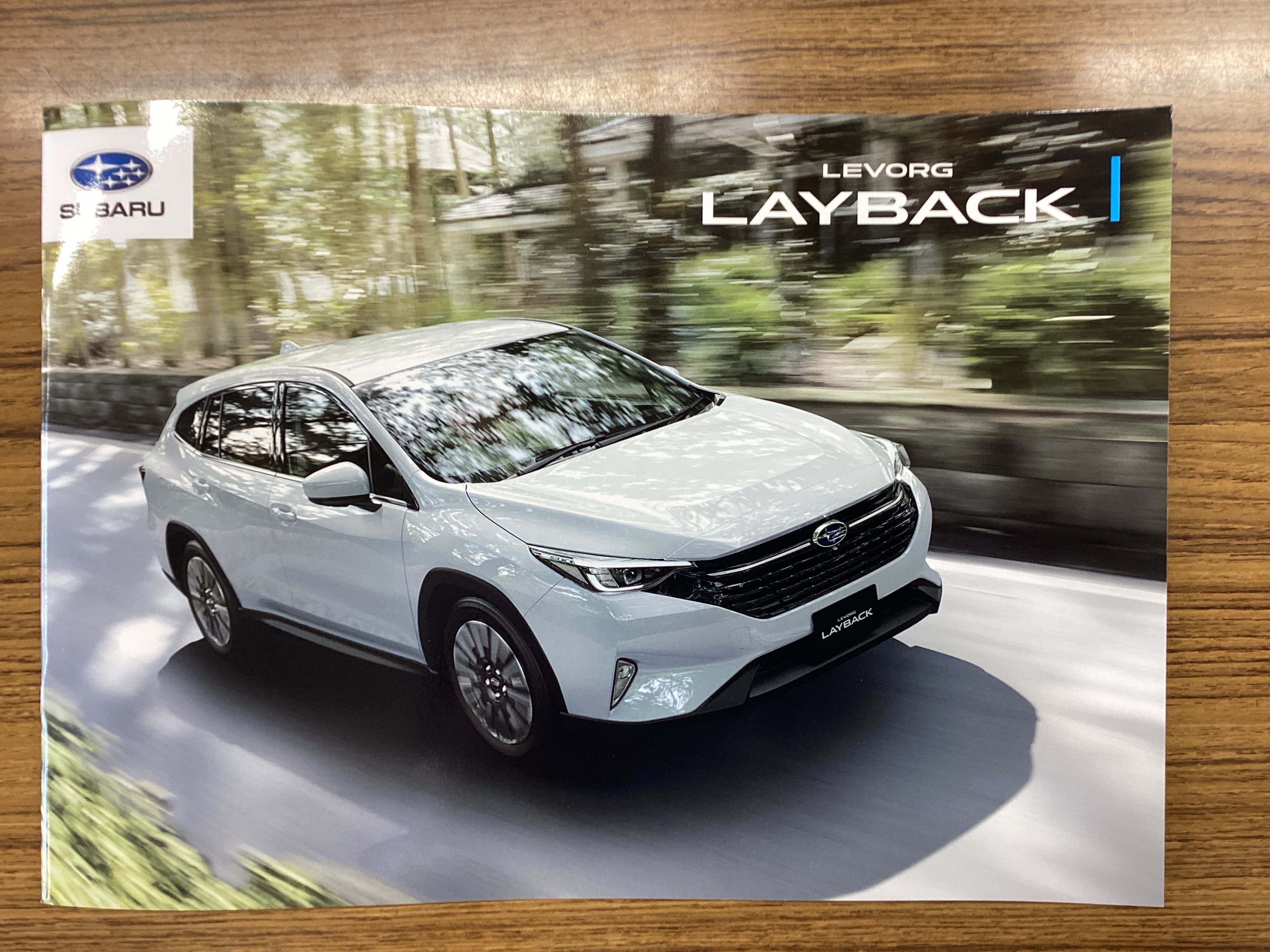 LAYBACK.JPG