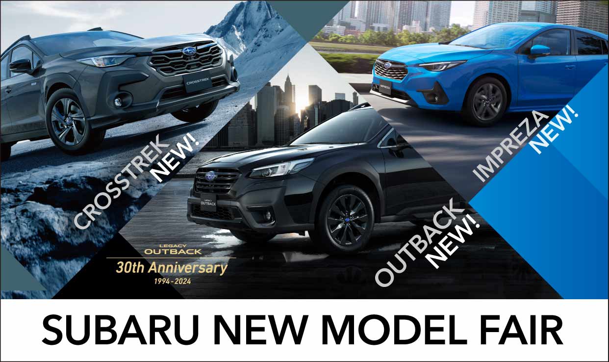 NewModelFair_NoDate.jpg