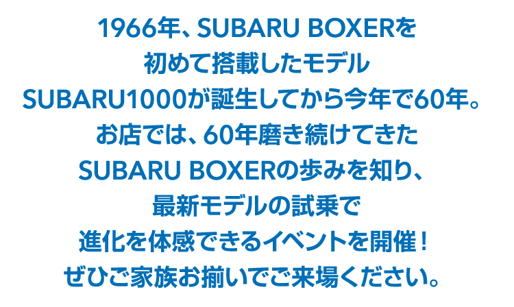 BOXER 60周年詳細画像1