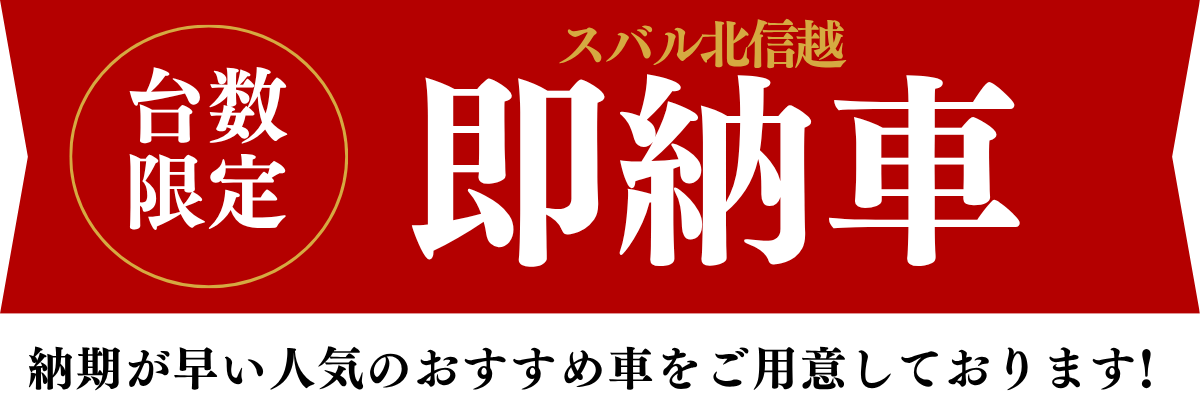 人気車種続々入荷！納期が早い新車はこちら！