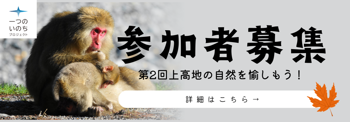 上高地イベント